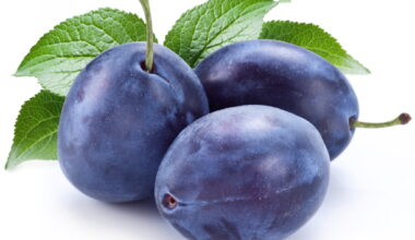 Konzumna šljiva - organska