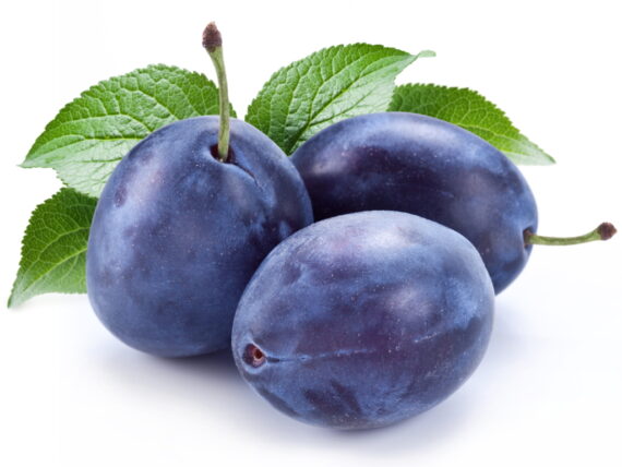 Konzumna šljiva - organska